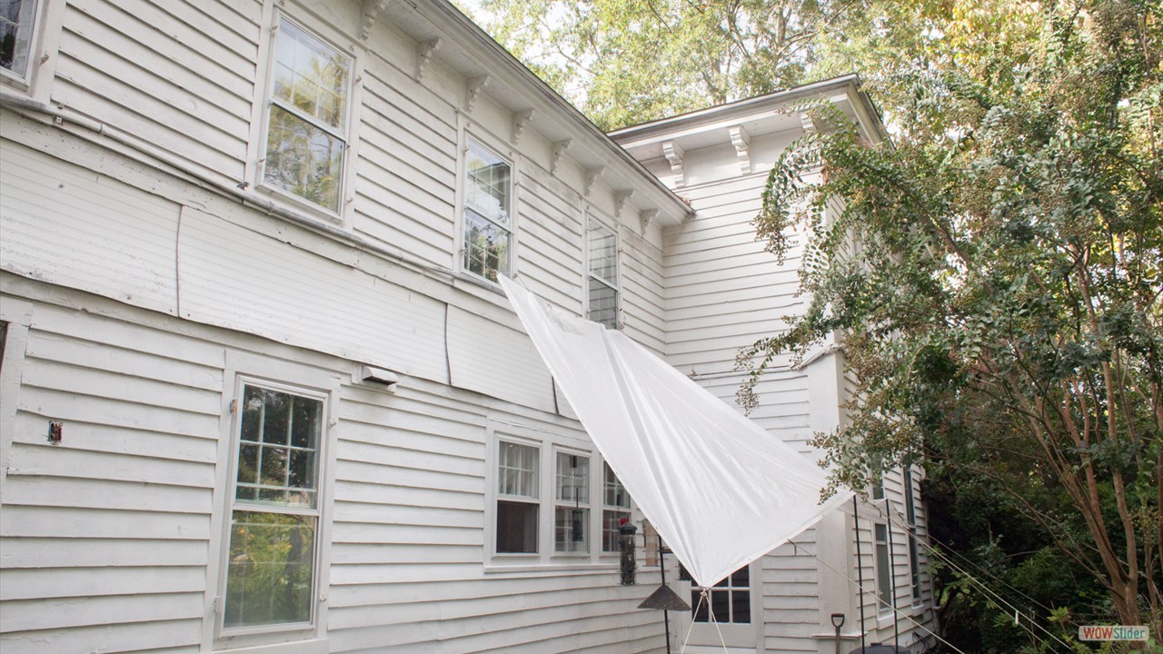 Bird Feeders outside Kitchen
